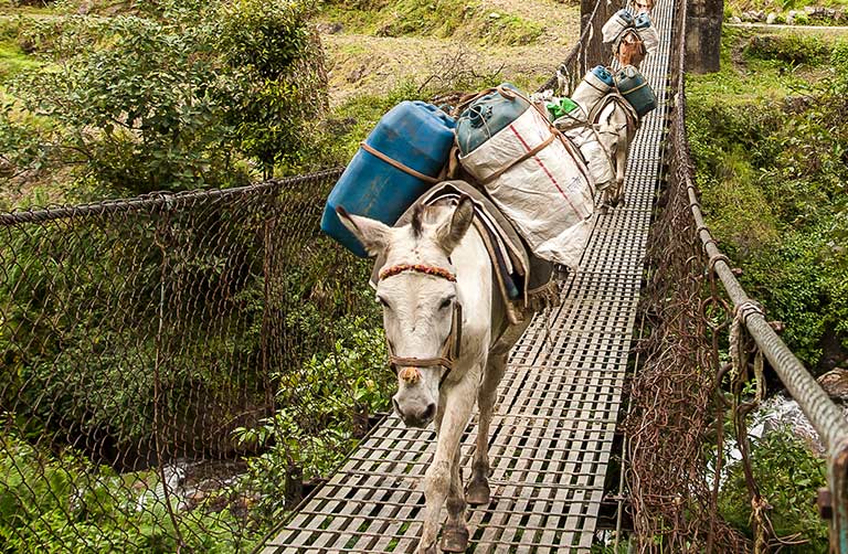 O que fazer em caso de atraso de bagagem
